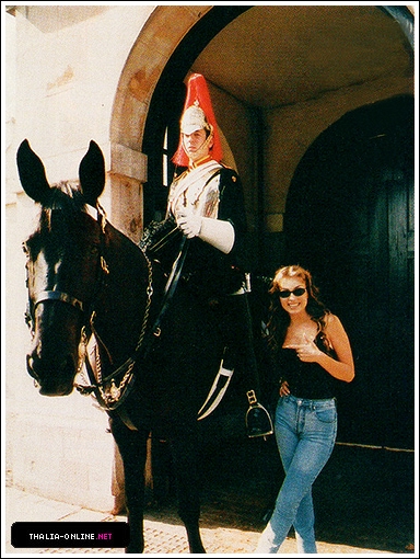 03.jpg