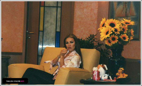 02.jpg