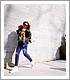 Nombre de foto=17.jpeg
Tamaño de foto=330KiB
Dimensiones=600x600
Fecha añadida=Julio 05, 21 17.jpeg